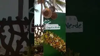pousada, coqueiro verde. beleza e conforto .