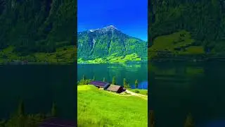 Lake zug train ride || Scenic train Switzerland #travel #nature #naturevideos #naturephotography