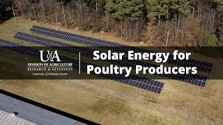 Solar Energy for Poultry Producers