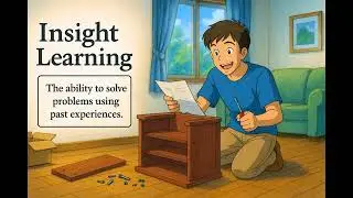 What is Insight Learning? - Easy to Understand