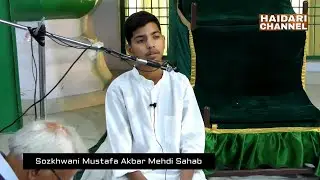 Sozkhwani Mustafa Akbar Mehdi | Majlis e Chaleeswan | S. Mustafa Raza Alias Tajwar Ali | Lucknow
