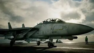 ACE COMBAT 7: SKIES UNKNOWN | Force Field
