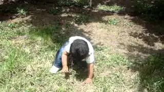 MOV04867