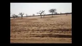 Green the Gene - International Youth Initiative
