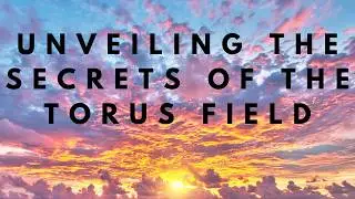 Unveiling the Secrets of the Torus Field