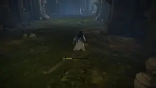 ELDEN RING_Sorrow vs Aden theif of fire and Ulcerated tree spirit