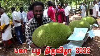 களை கட்டிய பண்ணுருட்டி பலா பழ திருவிழா 2022 | Jackfruit Festival 2022 held at Panruti