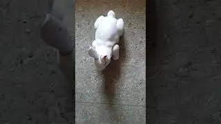 Rabbit Toy Unboxing | Nisha Channel #shorts #short #toy