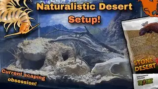 DIY Desert Centipede Naturalistic Setup! | Exo Terra Stone Desert Sonoran Ochre! 