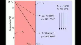 Effect of Wind Chill on Skin Temperature