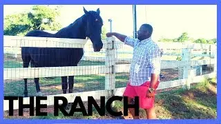 My husband wants a farm! |Christian couple vlog