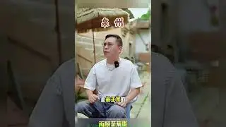 當廈門漳州泉州台灣坐在一起聊閩南語 #foryou #fyp #福建 #閩南語