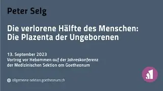 Peter Selg: Die verlorene Hälfte des Menschen: Die Plazenta der Ungeborenen