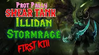 Illidan Prot Paladin Shear MT POV First Kill - TBC Classic