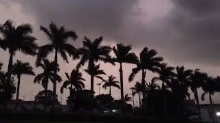 Soft Rain Lofi Mix | Gentle Background Rain Sounds for Cozy Vibes #rainsounds #rain #relaxing #lofi