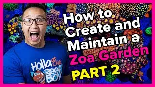 Ep.14 - How To Create & Maintain A Zoa Garden Part 2