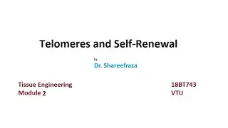 Tissue Engineering, Module 2, Telomers and Self renewal #vtu #tissueengineering #vtuexams #vlog