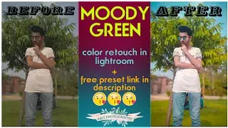 Moody Green color grading Lightroom mobile+free moody green preset||A&T PHOTOGRAPHY