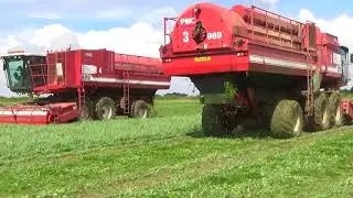 pea vining apg 2016