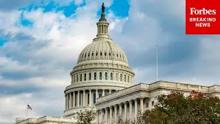WATCH LIVE: House Democratic Leaders Hold Press Briefing As Trump Calls For Greenland Takeover