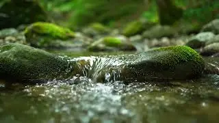 Flowing Water Sounds for Deep Sleep &mdash; Calm Ambient Music, Meditation & Relaxation