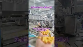 WO Advanced Cheetos Nik Naks Machine Kurkure Extruder Shipment More Ready in Stock #machine #niknaks