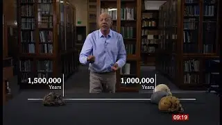 Million-year-old skull &lsquo;rewrites human evolution&rsquo; (Global) 26/Sep/2025