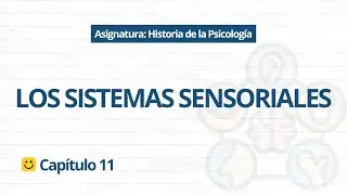 🧠 ¿Cómo Vemos y Sentimos? | Psicobiología Cap. 11