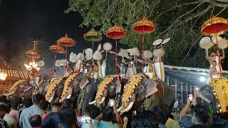 🙏ഏവൂർ വലിയവിളക്ക് 🙏#chirakkalkalidasan#longvideo #temple #evoor #elephant #love 