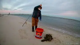 Fishing Herring in Long island.2020.纽约州長島釣排鱼