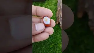 Beautiful Egg 🥚 Agate... Natural Agate | Aqeeq With Beautiful Picture Of Fry Egg Antique & Rare ❤️