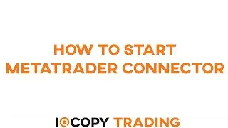 How To Start Metatrader Connector || IQ Option Robot 2020 || IQ Copy Trading Platform||