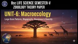 Unit 6: Macroecology | BSc Life Science Sem 5 Zoology | Delhi University