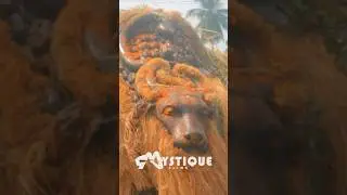 SHOWCASING AFRICA&rsquo;S RICH CULTURE AND TRADITION