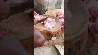 MuttonCutting athome #cutting #goat #mutton #shorts #new #athome #newshorts #muttoncutting #sdavlogs