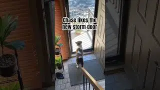 New door. He likes it.