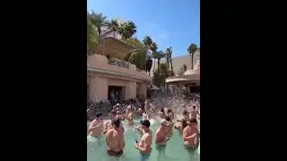 Las Vegas Pool Party 2025 Open Format Fun. DJs 7 days a week #vegasclub #vegaspools #lasvegas
