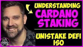 Understand Cardano ADA Staking and Unistake DEFI ISO