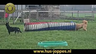 Www.hus-joppes.nl