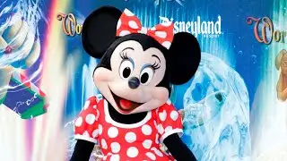 Disney is trying to &lsquo;push&rsquo; the broadcast of their &lsquo;woke agenda&rsquo;