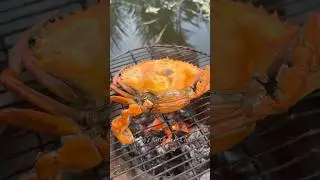 Charcoal grilled crab