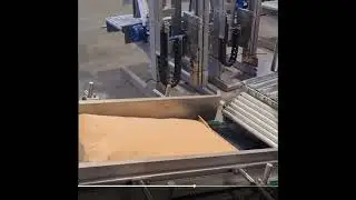 Mevema Absackanlage PE/Papiers&auml;cke 10 kg / 25 kg + Palettierung in Deutschland installiert