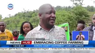 Embracing coffee farming: Kericho launches coffee farming campaign