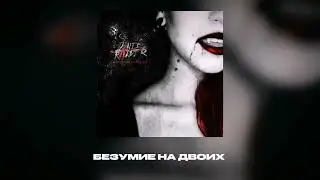 DANTE RAIDER - Безумие на двоих 