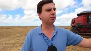 Produ&ccedil;&atilde;o de gr&atilde;os na regi&atilde;o do SEALBA