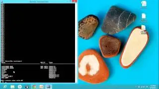 sql view