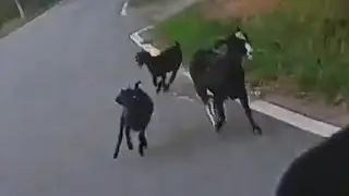 金門日常