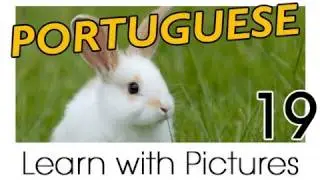 Learn Brazilian Portuguese with Pictures -- Farm Animals