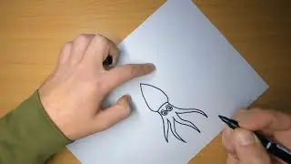 How to Draw a Squid Easy 🦑