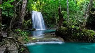 Zaquele Castom DRW - NATURE Official Song